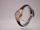 Angled side view of the Citizen Eco-Drive watch on a display stand, highlighting the gold-tone case and crown.