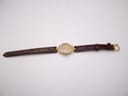 Overhead view of the Gucci 6000L watch laid flat, displaying the full length of the brown leather strap with its gold-tone buckle.