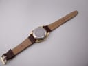 Full length back view of the watch, strap, and gold-toned buckle.
