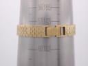 The watch's integrated bracelet wrapped around a metal wrist sizing cone, indicating a wrist circumference of approximately 172mm.