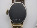 Close-up of the watch case back showing the serial number 954051.