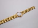 Full length top view of the Longines Conquest watch and gold-tone bracelet on a white background.