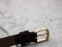 Close-up of the gold-tone buckle, distinctly signed with the 'apollo' brand name.