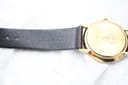 Close-up of the watch strap's interior on the other side, showing the 'Pulsar' brand embossing.