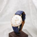 The Camy Geneve watch displayed on a small wooden stand, offering a three-quarter view of the dial, case, and strap.