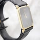 Close-up of the black leather replacement strap with its buckle.