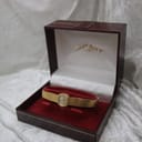 The Rotary watch nestled inside its original red presentation box with gold branding.