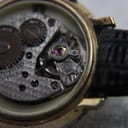 Close-up of the watch movement, highlighting the balance wheel and jewels, showing "SEVENTEEN 17 JEWELS".