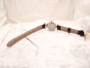 Overhead view of the Rotary watch laid flat on a textured white surface, showing the full length of the black strap and the gold-tone case back.