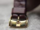 Close-up of the gold-tone Zenith signed buckle on the burgundy leather strap.