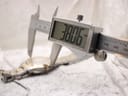 Digital caliper measuring the case diameter of the Tissot PR 100 watch, displaying 38.05 mm.