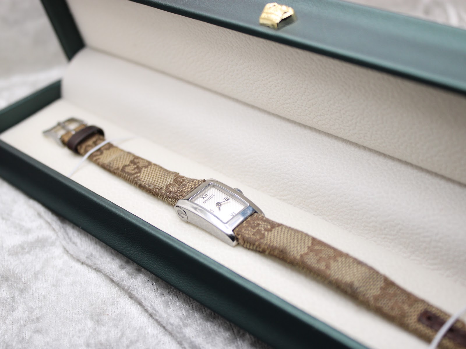 Overhead view of the Gucci 8600L watch lying inside a dark green presentation box with a cream interior.