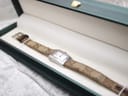 Overhead view of the Gucci 8600L watch lying inside a dark green presentation box with a cream interior.