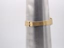 The integrated gold-tone bracelet shown on a wrist sizing gauge, indicating a wrist size of approximately 16.2cm.