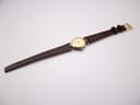 Slightly angled full view of the Gucci 2000L watch with the dark brown lizard grain strap laid flat.