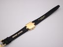 Rear full length view of the Raymond Weil watch and strap, showing the case back details and the gold branding on the strap interior.